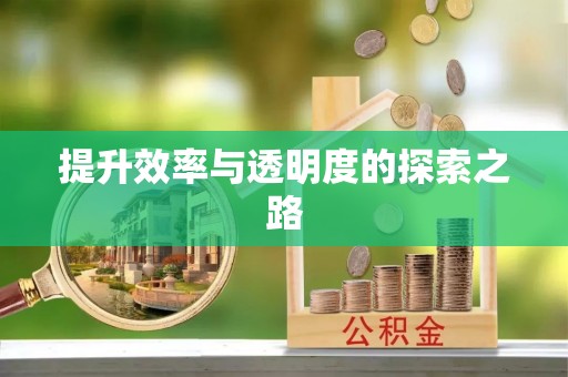 方城提升效率与透明度的探索之路